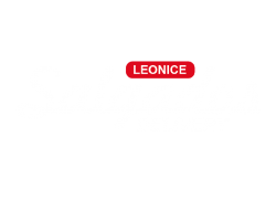 Leonice Salgados